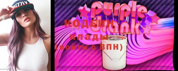 индика Вяземский