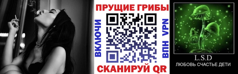 цена   Серафимович  Галлюциногенные грибы Psilocybine cubensis 
